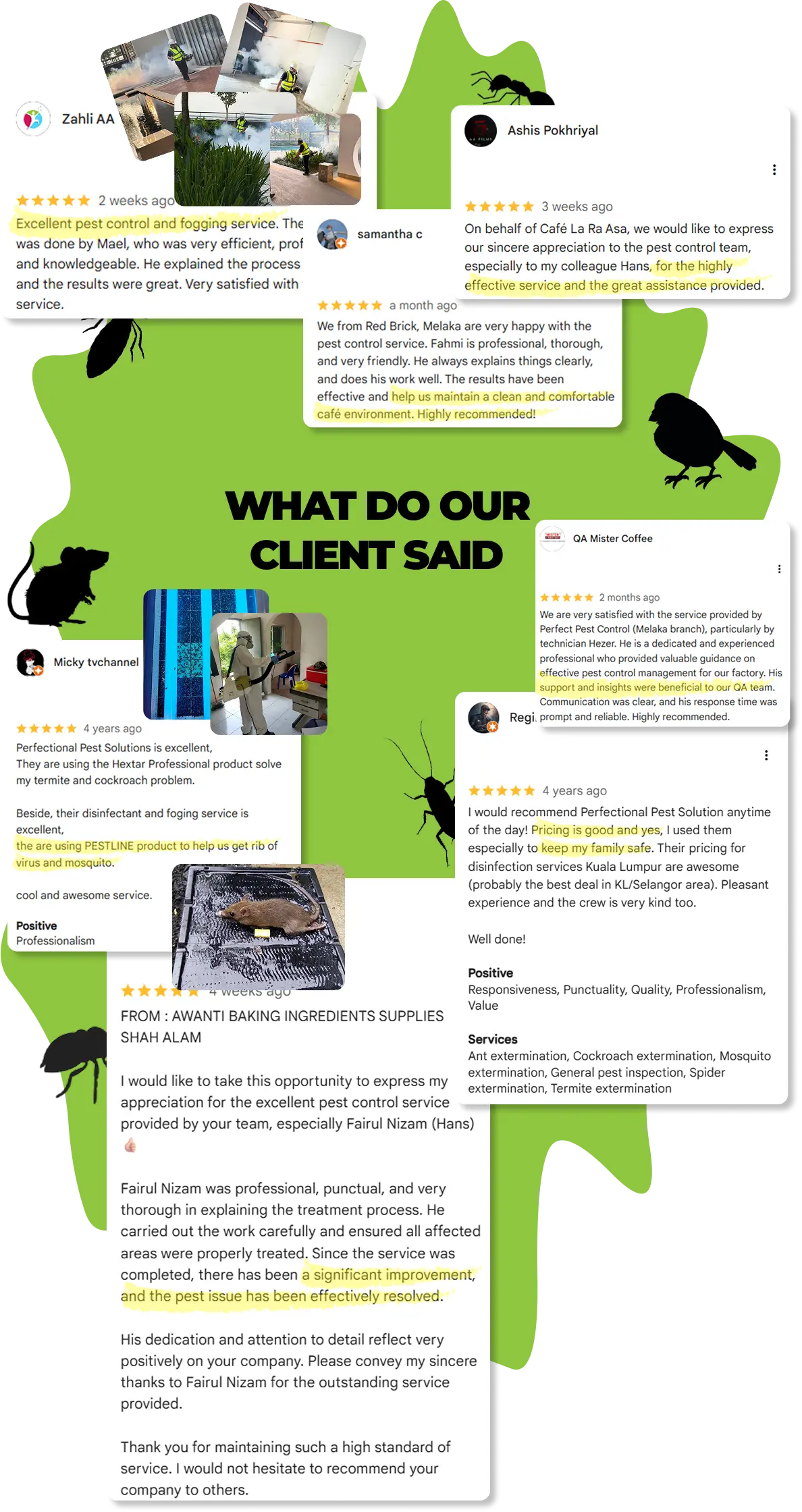 Customer Reviews